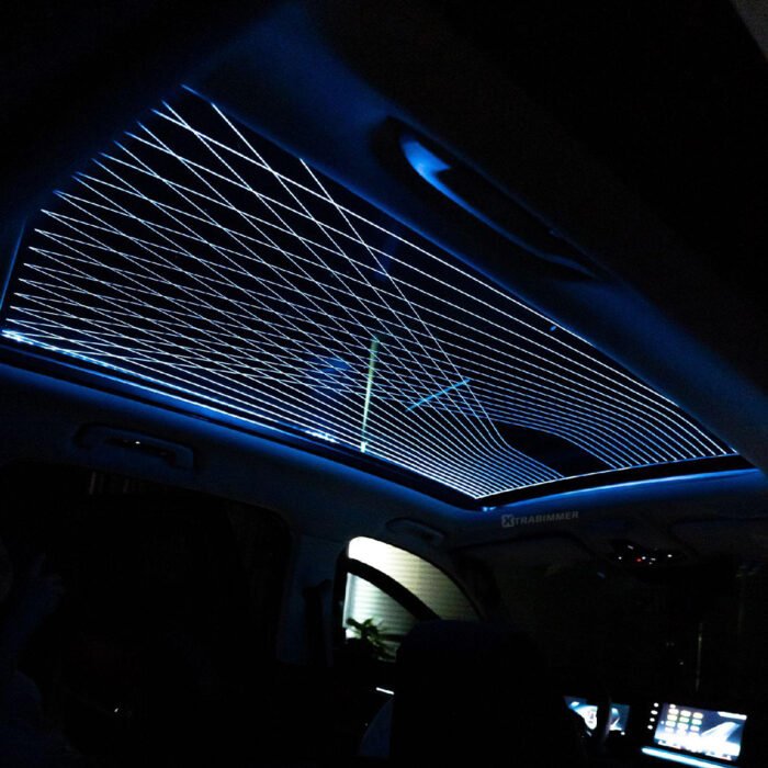 BMW X1 U11 Sky Lounge OEM Ambient Lighting - Image 2
