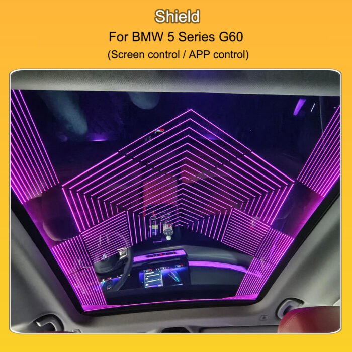 BMW 5 Series G60 Sky Lounge OEM Ambient Lighting