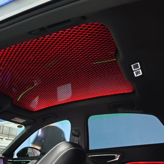 Audi A4 A5 A6 A8 Q5 Q7 Q8 Sky Lounge OEM Roof Window Ambient Lights - Image 6