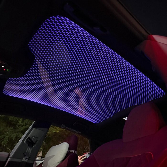 Audi A4 A5 A6 A8 Q5 Q7 Q8 Sky Lounge OEM Roof Window Ambient Lights - Image 2